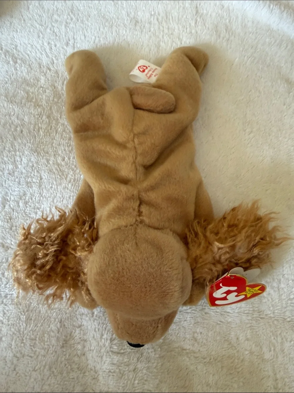 6 Vintage Ty Dog Beanie Babies w Tags MWMT